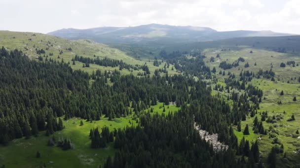 Letecký Pohled Oblast Konyarnika Vitosha Mountain Sofia City Region Bulharsko — Stock video