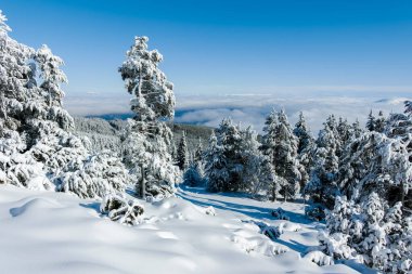 Bulgaristan 'ın Sofya Şehir Bölgesi, Vitosha Dağı' nın İnanılmaz Kış manzarası
