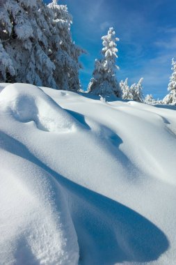 Bulgaristan 'ın Sofya Şehir Bölgesi, Vitosha Dağı' nın İnanılmaz Kış manzarası