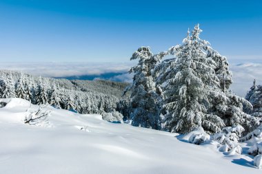 Bulgaristan 'ın Sofya Şehir Bölgesi, Vitosha Dağı' nın İnanılmaz Kış manzarası