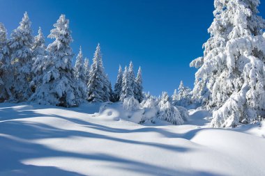 Bulgaristan 'ın Sofya Şehir Bölgesi, Vitosha Dağı' nın İnanılmaz Kış manzarası