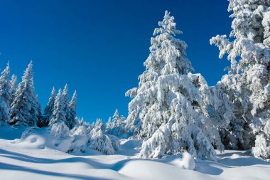 Bulgaristan 'ın Sofya Şehir Bölgesi, Vitosha Dağı' nın İnanılmaz Kış manzarası