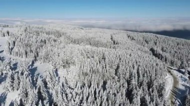Bulgaristan 'ın Sofya Şehir Bölgesi, Vitosha Dağı' nın Hava Kış Manzarası