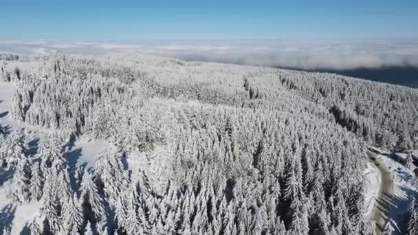 Luchtfoto Winter Uitzicht Vitosha Mountain Sofia City Region Bulgarije — Stockvideo