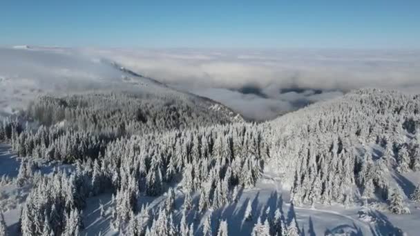 Aerial Winter View Vitosha Mountain Sofia City Region Bulgaria — Stock Video