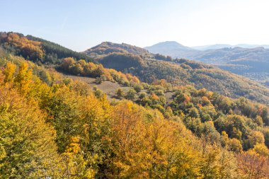 Bulgaristan 'ın Pernik Bölgesi, Kamenititsa zirvesi yakınlarındaki Erul dağının şaşırtıcı sonbahar manzarası