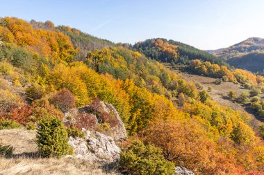 Bulgaristan 'ın Pernik Bölgesi, Kamenititsa zirvesi yakınlarındaki Erul dağının şaşırtıcı sonbahar manzarası