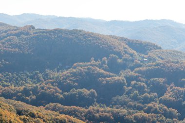 Bulgaristan 'ın Pernik Bölgesi, Kamenititsa zirvesi yakınlarındaki Erul dağının şaşırtıcı sonbahar manzarası