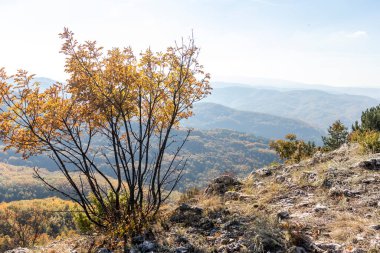Bulgaristan 'ın Pernik Bölgesi, Kamenititsa zirvesi yakınlarındaki Erul dağının şaşırtıcı sonbahar manzarası