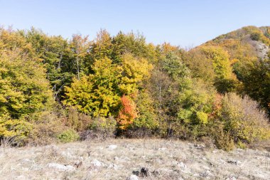 Bulgaristan 'ın Pernik Bölgesi, Kamenititsa zirvesi yakınlarındaki Erul dağının şaşırtıcı sonbahar manzarası