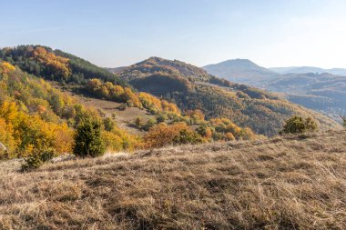 Bulgaristan 'ın Pernik Bölgesi, Kamenititsa zirvesi yakınlarındaki Erul dağının şaşırtıcı sonbahar manzarası