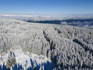 Bulgaristan 'ın Sofya Şehir Bölgesi, Vitosha Dağı' nın Hava Kış Manzarası