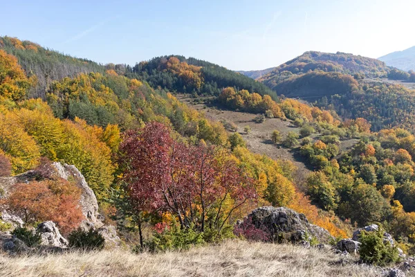 Erstaunliche Herbstlandschaft Des Erul Gebirges Der Nähe Des Kamenititsa Gipfels — Stockfoto