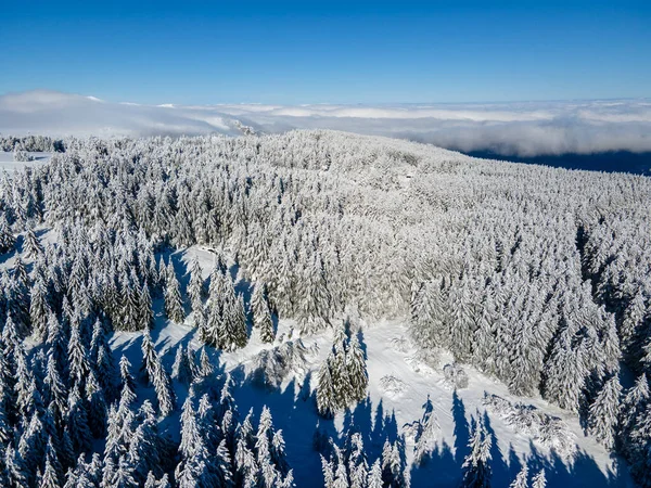 Bulgaristan 'ın Sofya Şehir Bölgesi, Vitosha Dağı' nın Hava Kış Manzarası