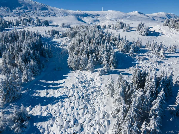 Zimowy Widok Lotu Ptaka Górę Vitosha Obwód Sofijski Bułgaria — Zdjęcie stockowe