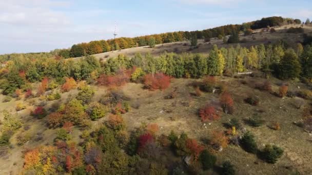 Amazing Aerial Autumn View Vitosha Mountain Bulgaria — Stok Video