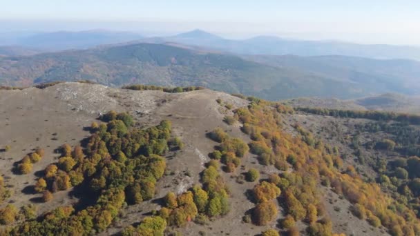 Fantastisk Höst Landskap Erul Berg Nära Golemi Topp Pernikregionen Bulgarien — Stockvideo