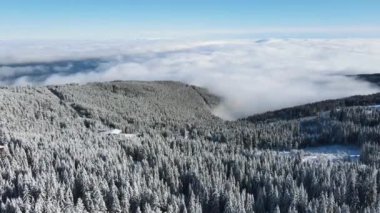 Bulgaristan 'ın Sofya Şehir Bölgesi, Vitosha Dağı' nın Hava Kış Manzarası