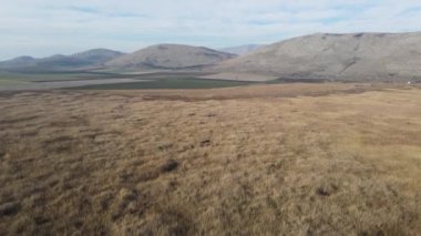 Aldomirovtsi bataklığının hava sonbahar manzarası, Sofya bölgesi, Bulgaristan