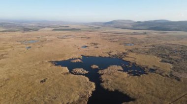 Bulgaristan 'ın Sofya bölgesindeki Dragoman bataklığının havadan sonbahar manzarası