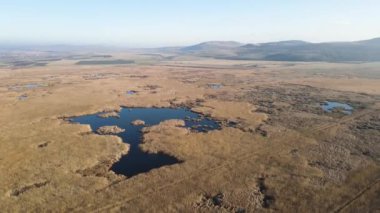 Bulgaristan 'ın Sofya bölgesindeki Dragoman bataklığının havadan sonbahar manzarası