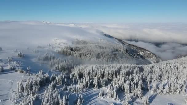 ブルガリア ソフィア市ヴィトシャ山の空中冬景色 — ストック動画