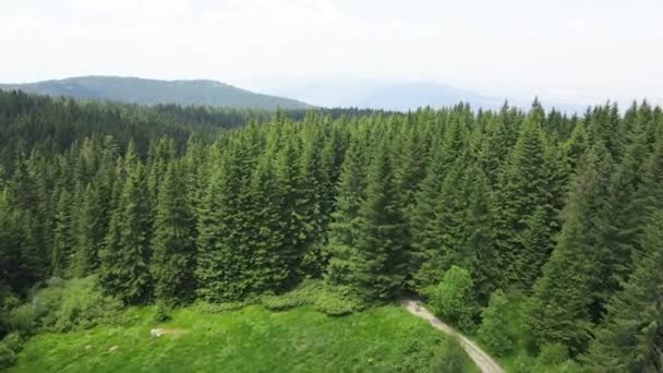 ブルガリア共和国ソフィア市ヴィトシャ山周辺の空中写真 — ストック動画