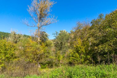 Bulgaristan 'ın başkenti Sofya' da Bakire Meryem 'in sunumuna adanmış Ortaçağ Razboishte manastırı