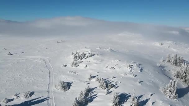 Letecký Zimní Pohled Horu Vitosha Sofijský Kraj Bulharsko — Stock video