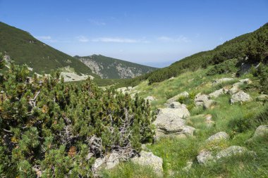 Bulgaristan 'ın Deve Tepesi yakınlarındaki Rila Dağı' nın muhteşem manzarası