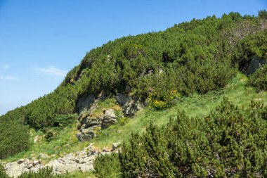 Bulgaristan 'ın Deve Tepesi yakınlarındaki Rila Dağı' nın muhteşem manzarası