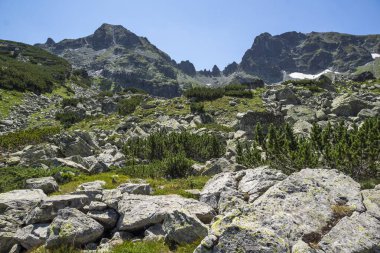 Bulgaristan 'ın Deve Tepesi yakınlarındaki Rila Dağı' nın muhteşem manzarası