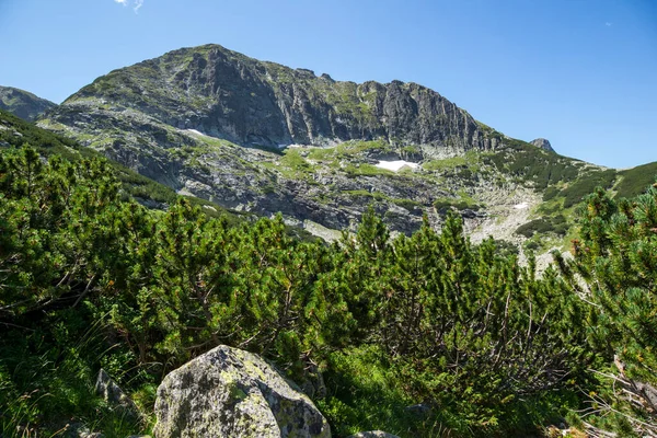 ブルガリア カメル山頂近くのリラ山の素晴らしい風景 — ストック写真