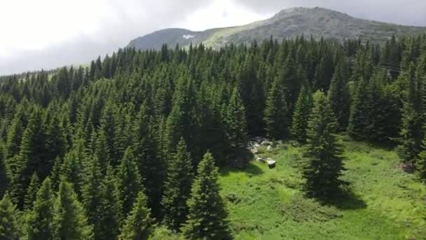 Αεροφωτογραφία Του Βουνού Vitosha Περιφέρεια Πόλης Της Σόφιας Βουλγαρία — Αρχείο Βίντεο