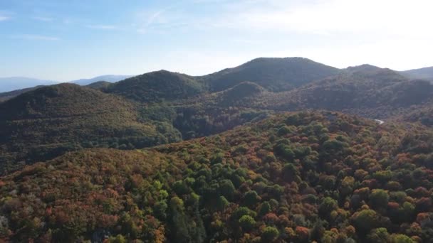 Καταπληκτική Αεροφωτογραφία Του Βουνού Βράτσα Κοντά Στην Κορυφή Της Οκολτσίτσας — Αρχείο Βίντεο