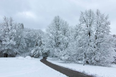 Bulgaristan 'ın Sofya kentindeki South Park' ın şaşırtıcı kış manzarası