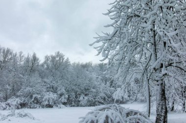 Bulgaristan 'ın Sofya kentindeki South Park' ın şaşırtıcı kış manzarası