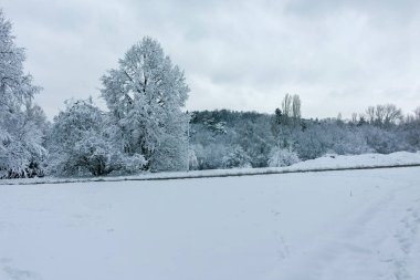 Bulgaristan 'ın Sofya kentindeki South Park' ın şaşırtıcı kış manzarası