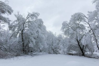 Bulgaristan 'ın Sofya kentindeki South Park' ın şaşırtıcı kış manzarası