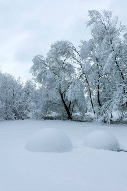 Bulgaristan 'ın Sofya kentindeki South Park' ın şaşırtıcı kış manzarası