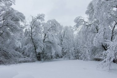 Bulgaristan 'ın Sofya kentindeki South Park' ın şaşırtıcı kış manzarası