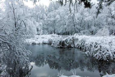 Bulgaristan 'ın Sofya kentindeki South Park' ın şaşırtıcı kış manzarası