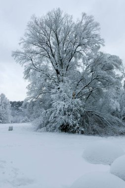 Bulgaristan 'ın Sofya kentindeki South Park' ın şaşırtıcı kış manzarası