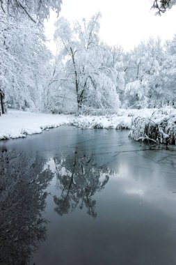 Bulgaristan 'ın Sofya kentindeki South Park' ın şaşırtıcı kış manzarası