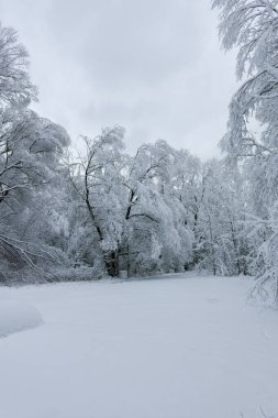 Bulgaristan 'ın Sofya kentindeki South Park' ın şaşırtıcı kış manzarası