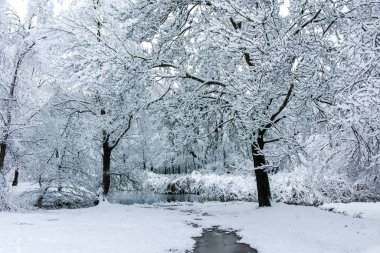 Bulgaristan 'ın Sofya kentindeki South Park' ın şaşırtıcı kış manzarası