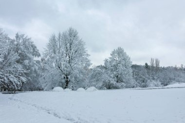 Bulgaristan 'ın Sofya kentindeki South Park' ın şaşırtıcı kış manzarası
