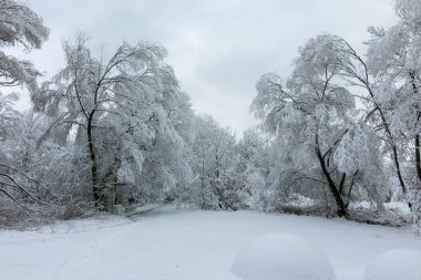 Bulgaristan 'ın Sofya kentindeki South Park' ın şaşırtıcı kış manzarası