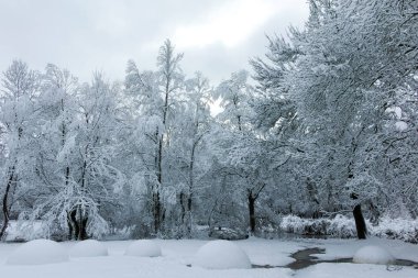 Bulgaristan 'ın Sofya kentindeki South Park' ın şaşırtıcı kış manzarası