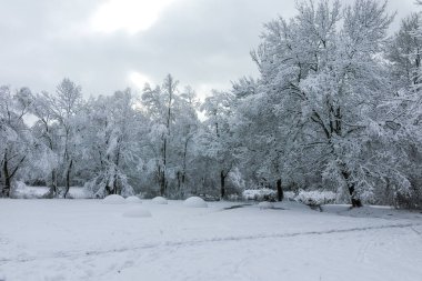 Bulgaristan 'ın Sofya kentindeki South Park' ın şaşırtıcı kış manzarası